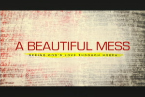 A Beautiful Mess.Still001