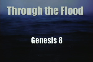 through the flood