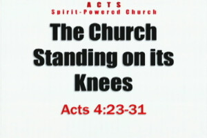 standing on its knees