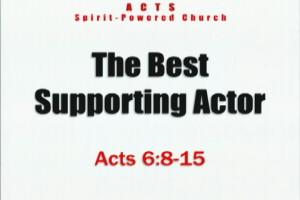 the best supporting actor
