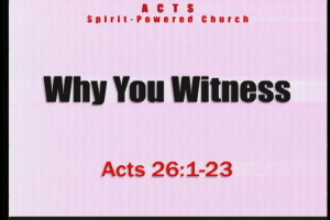 why you witness